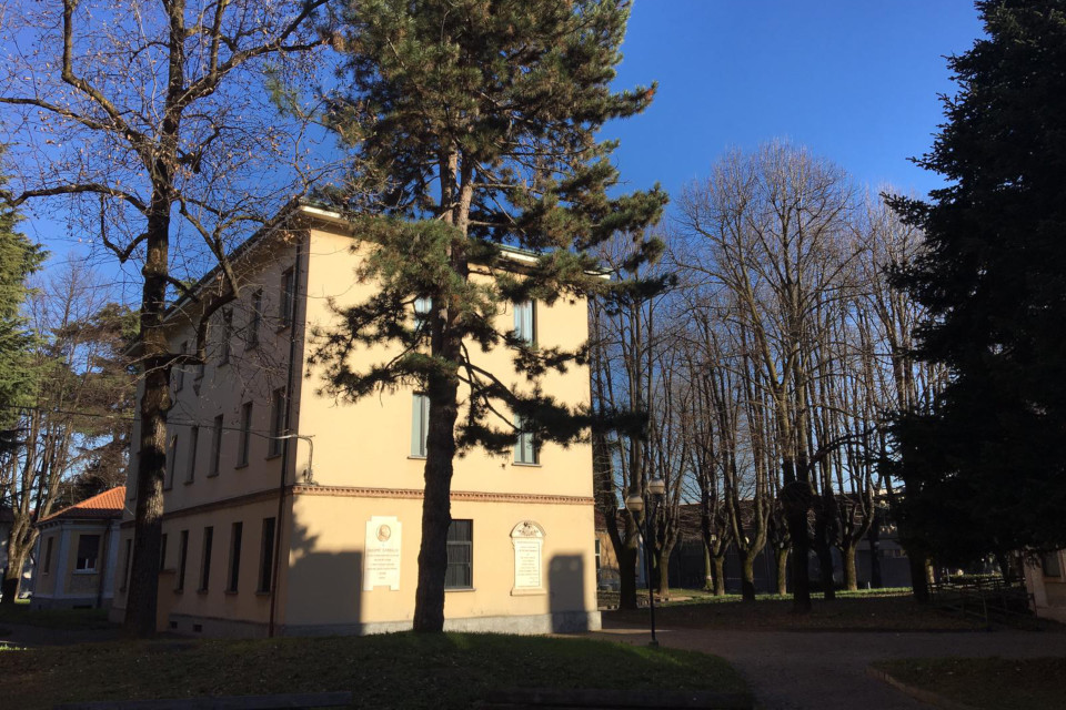 sede coro taglio